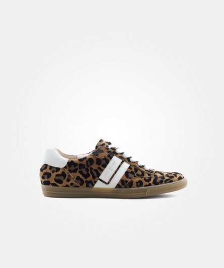 Sneakers Paul Green